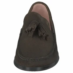 9060 Crostina Oliva