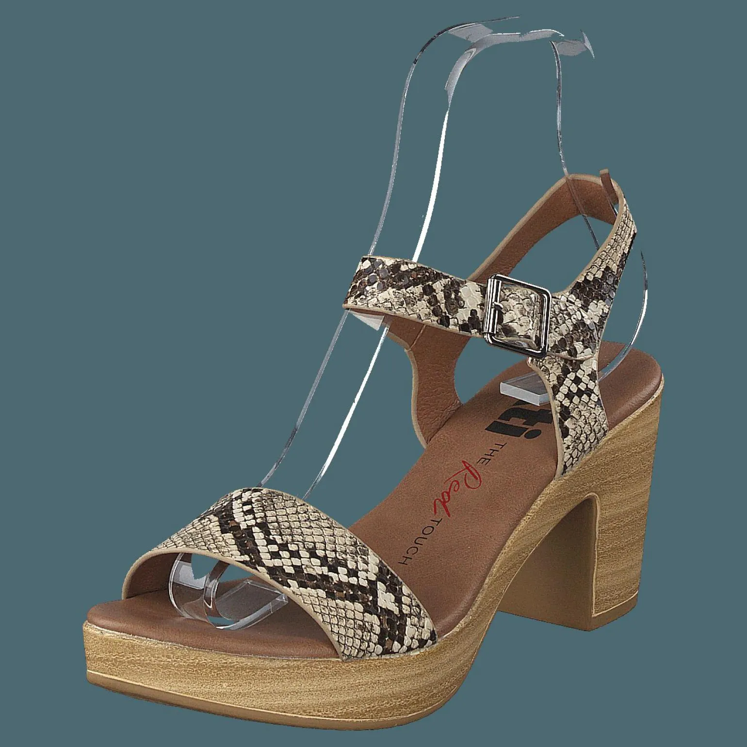 49889 Snake