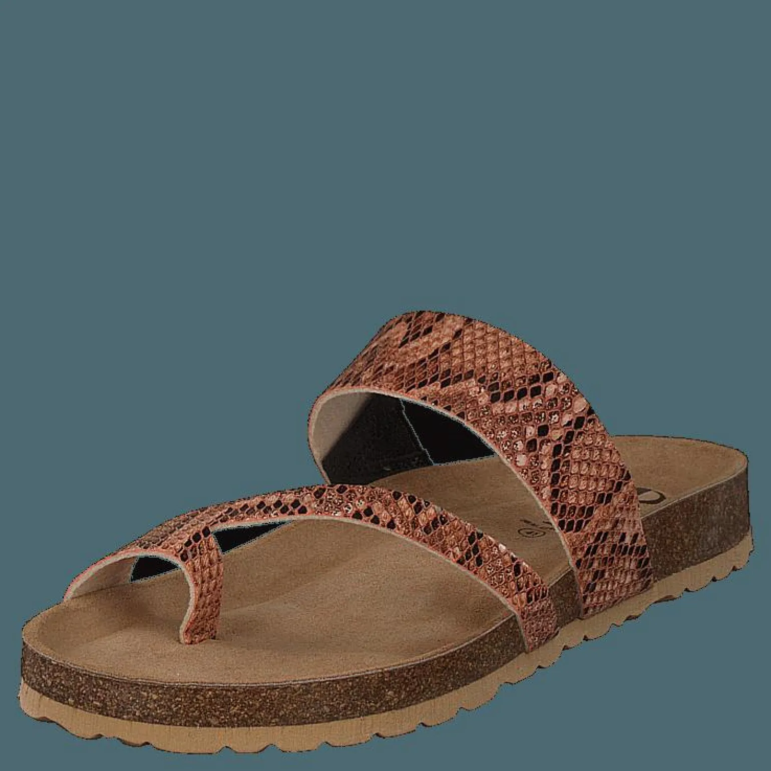 Adan Sand Snake