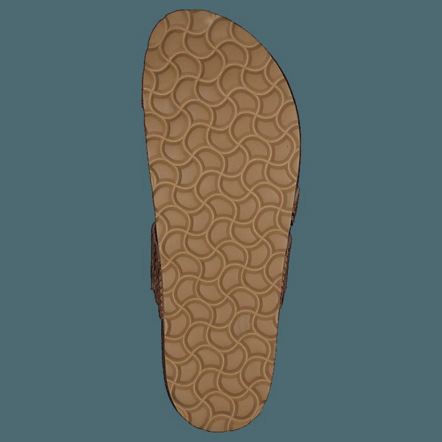 Adan Sand Snake
