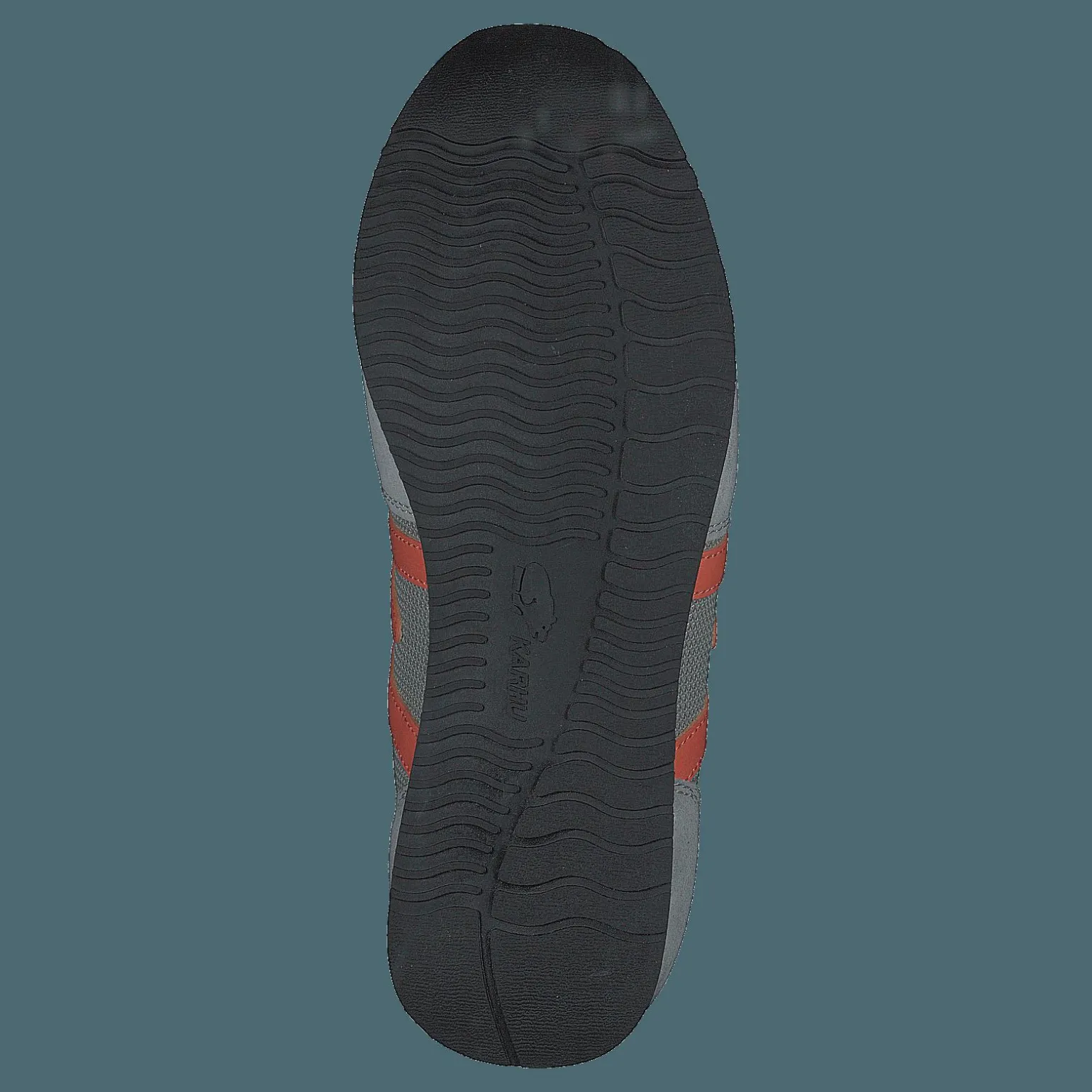 Albatross Dawn Blue / Carrot