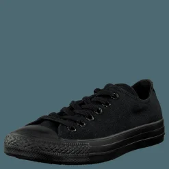 All Star Canvas Ox