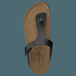 Annie Black