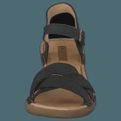 Aqua Black