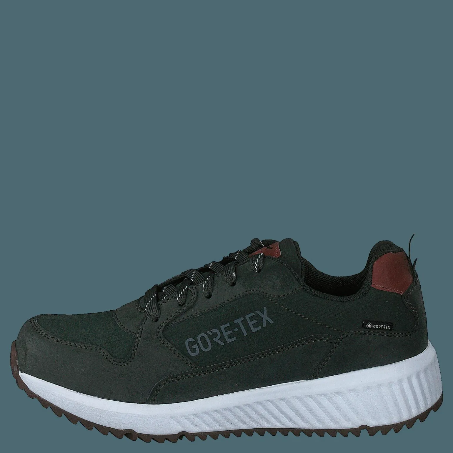 Arena Albertvil Gtx Green