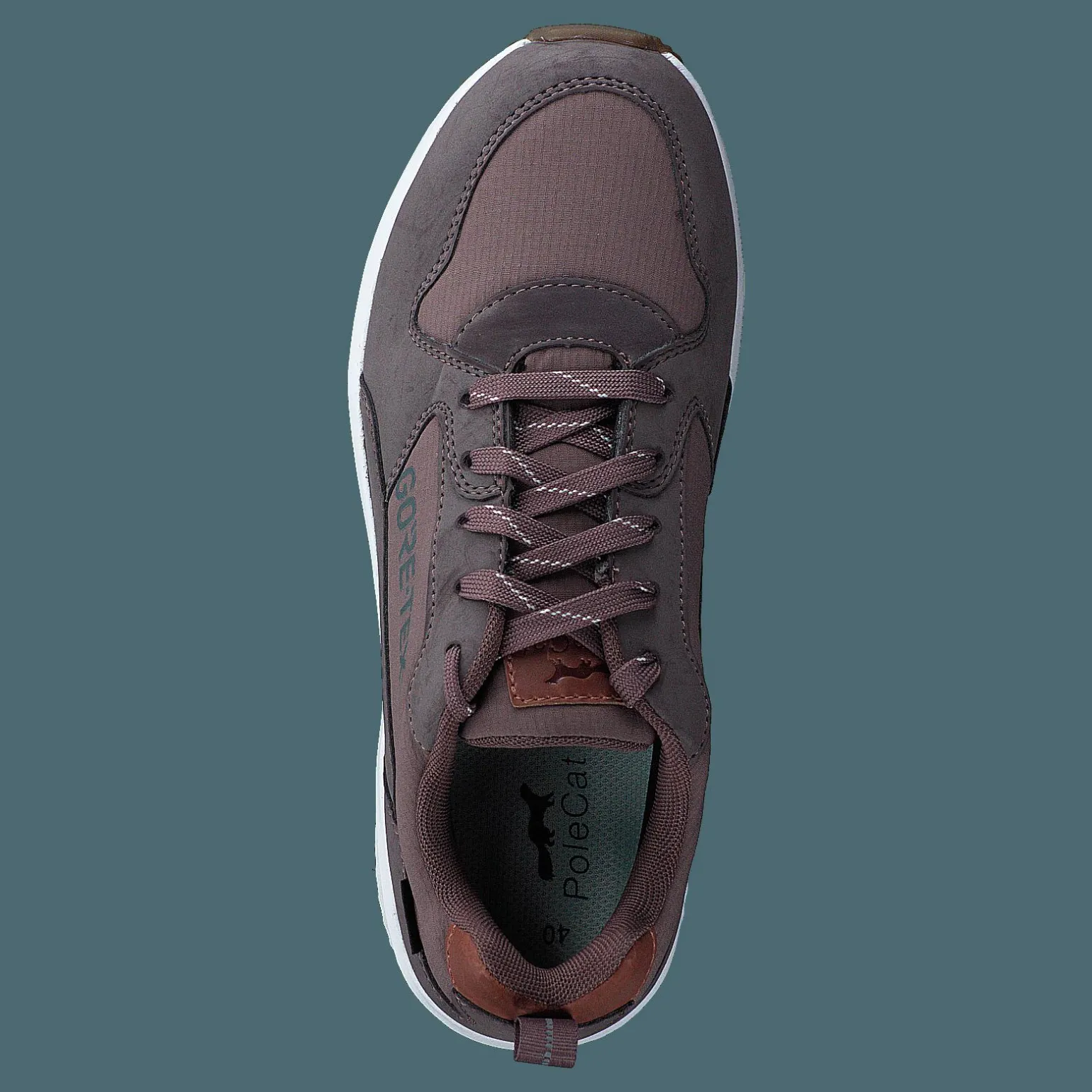 Arena Albertvil Gtx Lavender