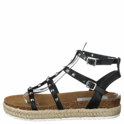 Array Black