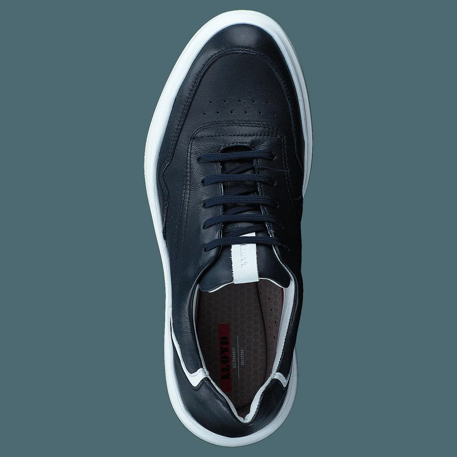 Arrigo Midnight/white