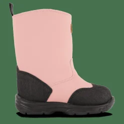 Aspa Xc Ash Rose