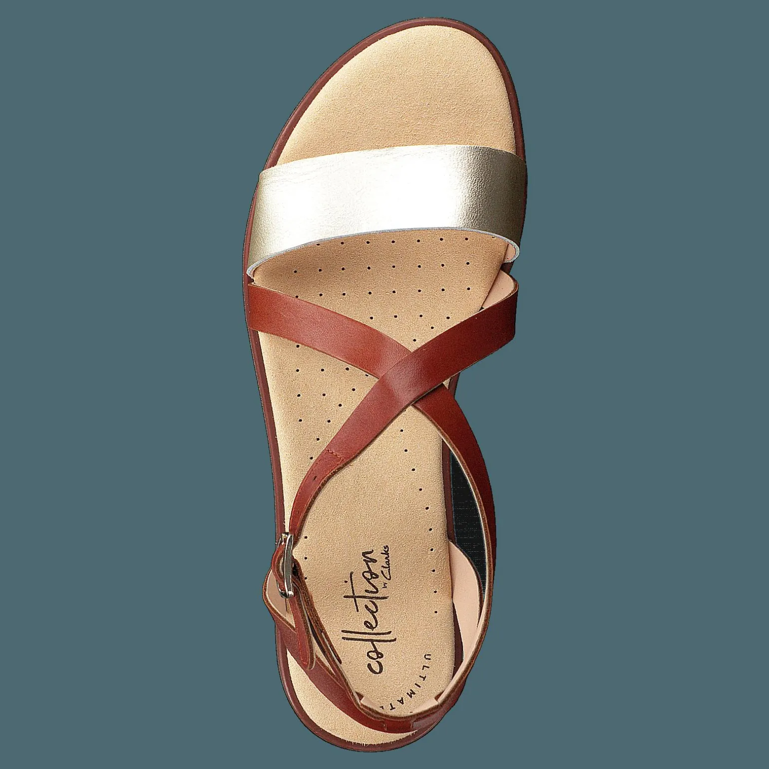 Bay Rose Rust