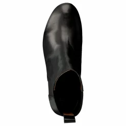 Beta Black