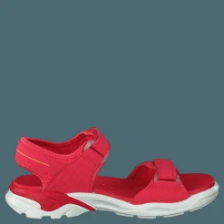 Biom Raft Teaberry