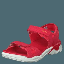 Biom Raft Teaberry