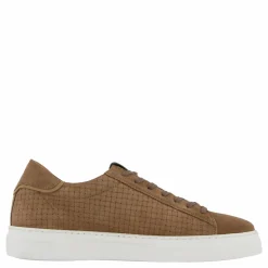 Brian Taupe