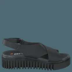 Brighton Black