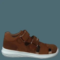 Bumblebee Brown