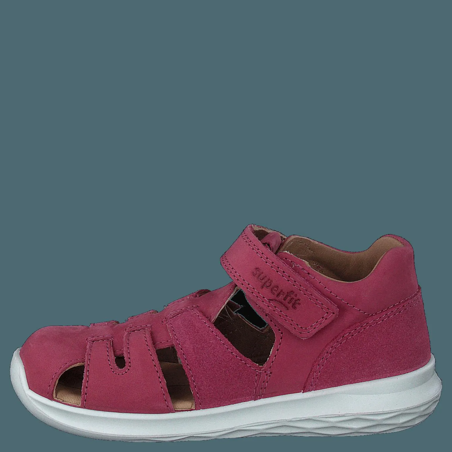 Bumblebee Pink