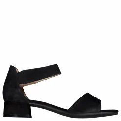 Carla Black Suede