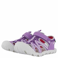 Cloudi Purple