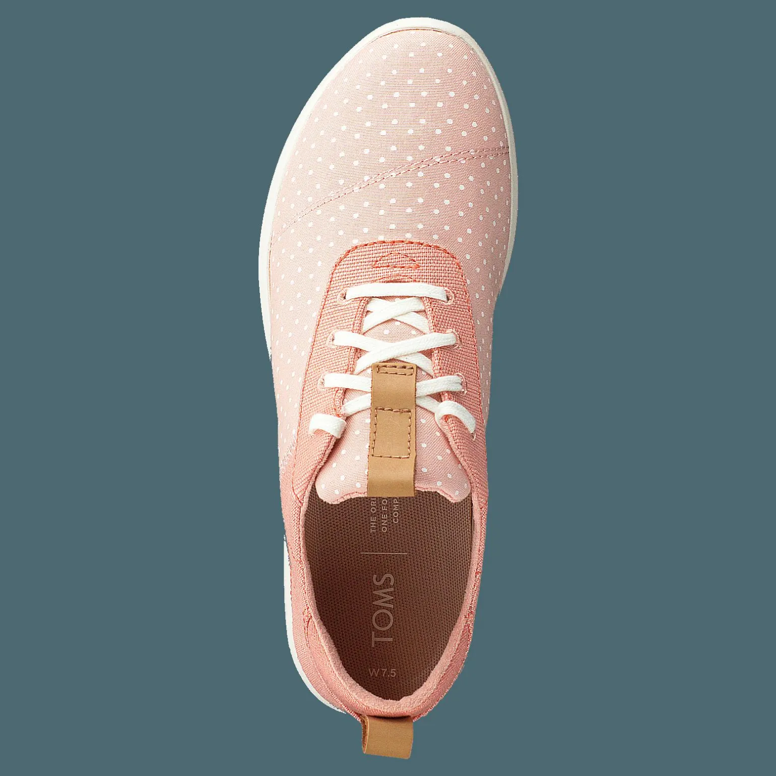 Coral Pink Coral