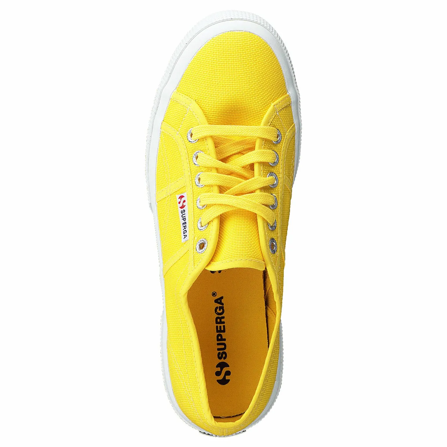 2750-Cotu Classic Sunflower