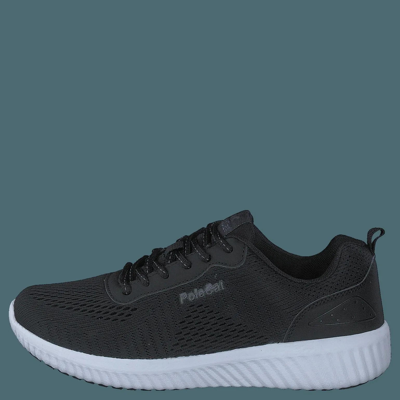 Credo Iowa Black