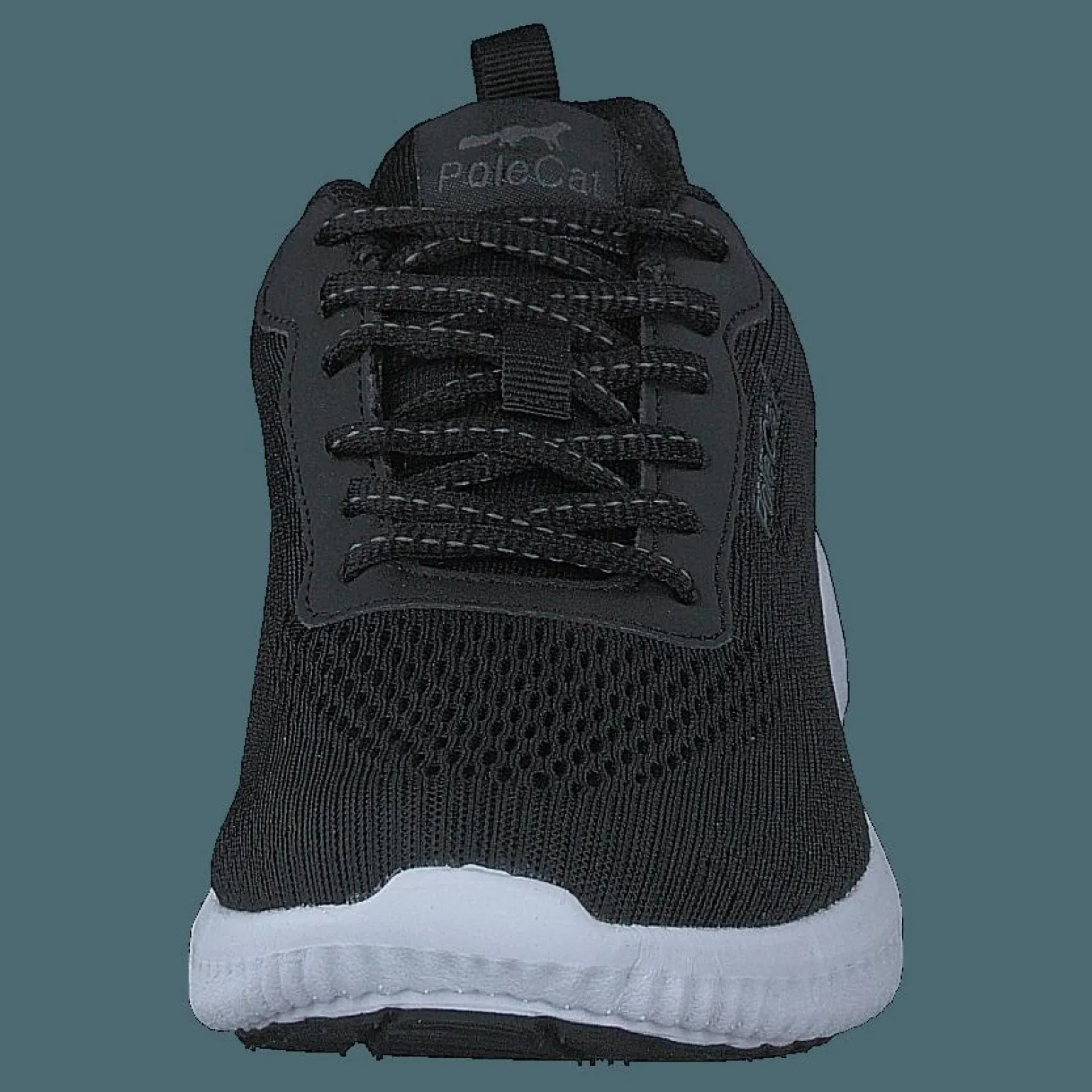Credo Iowa Black