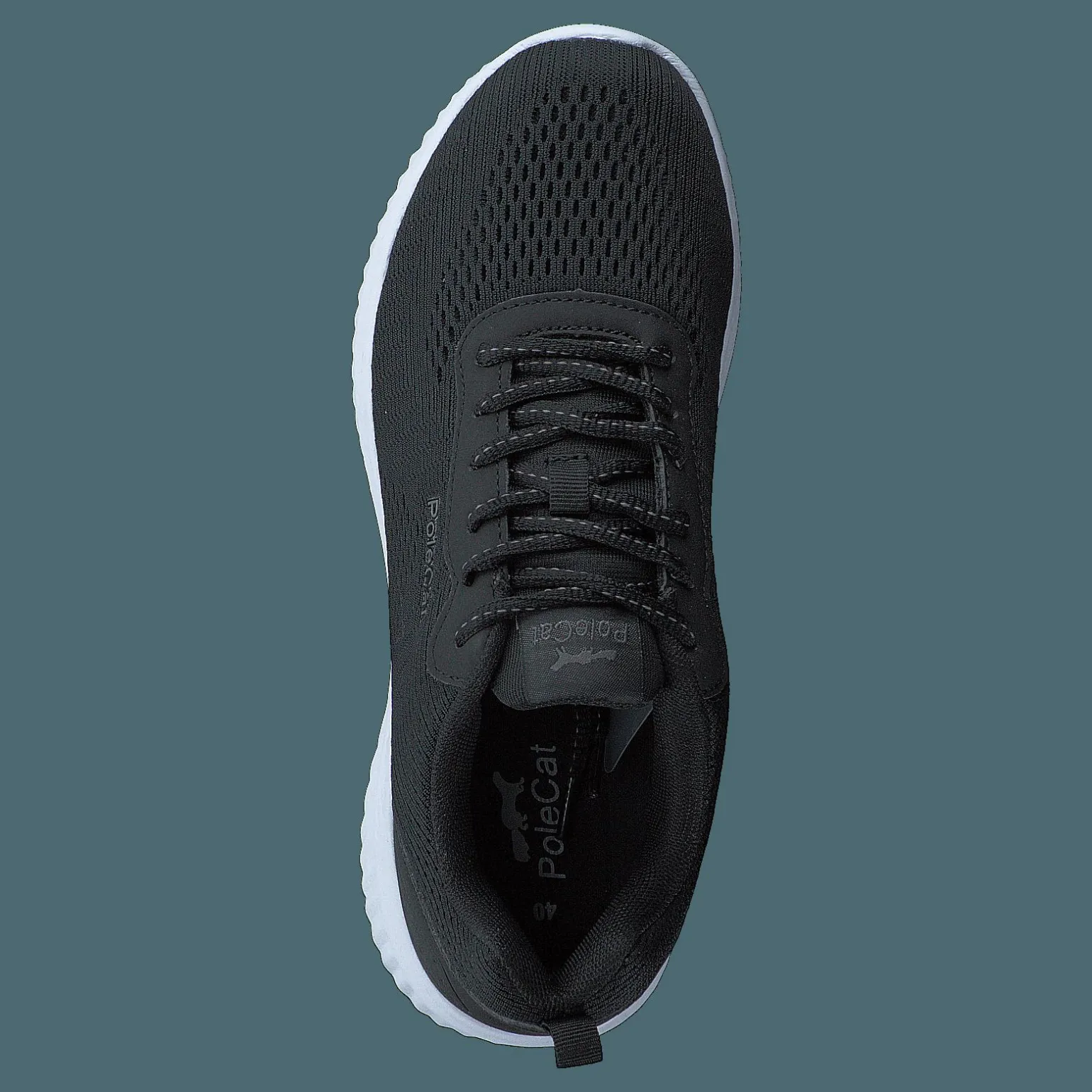 Credo Iowa Black