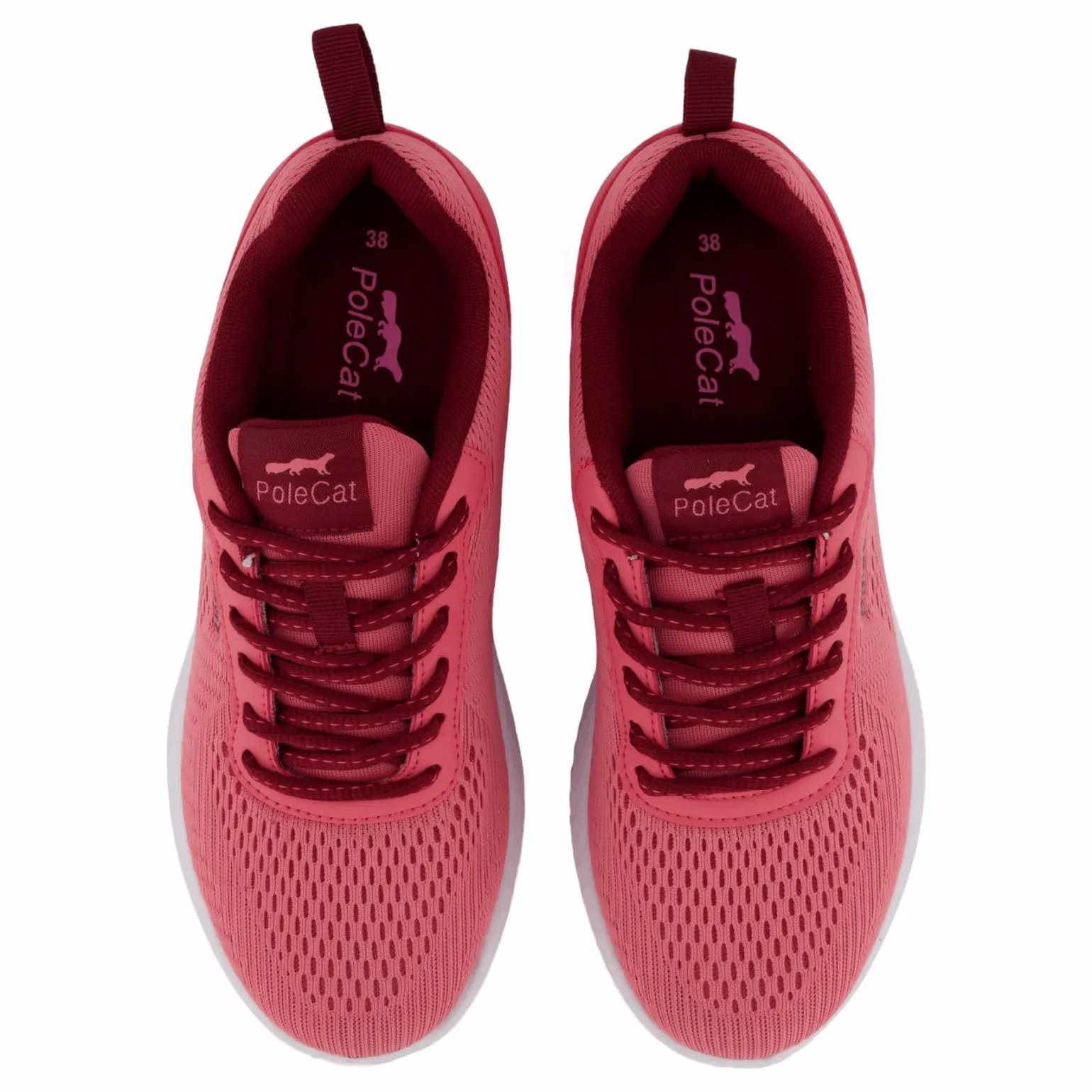 Credo Iowa Fuchsia