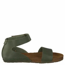 Creta Kaki