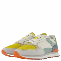 Daytona Multicolor