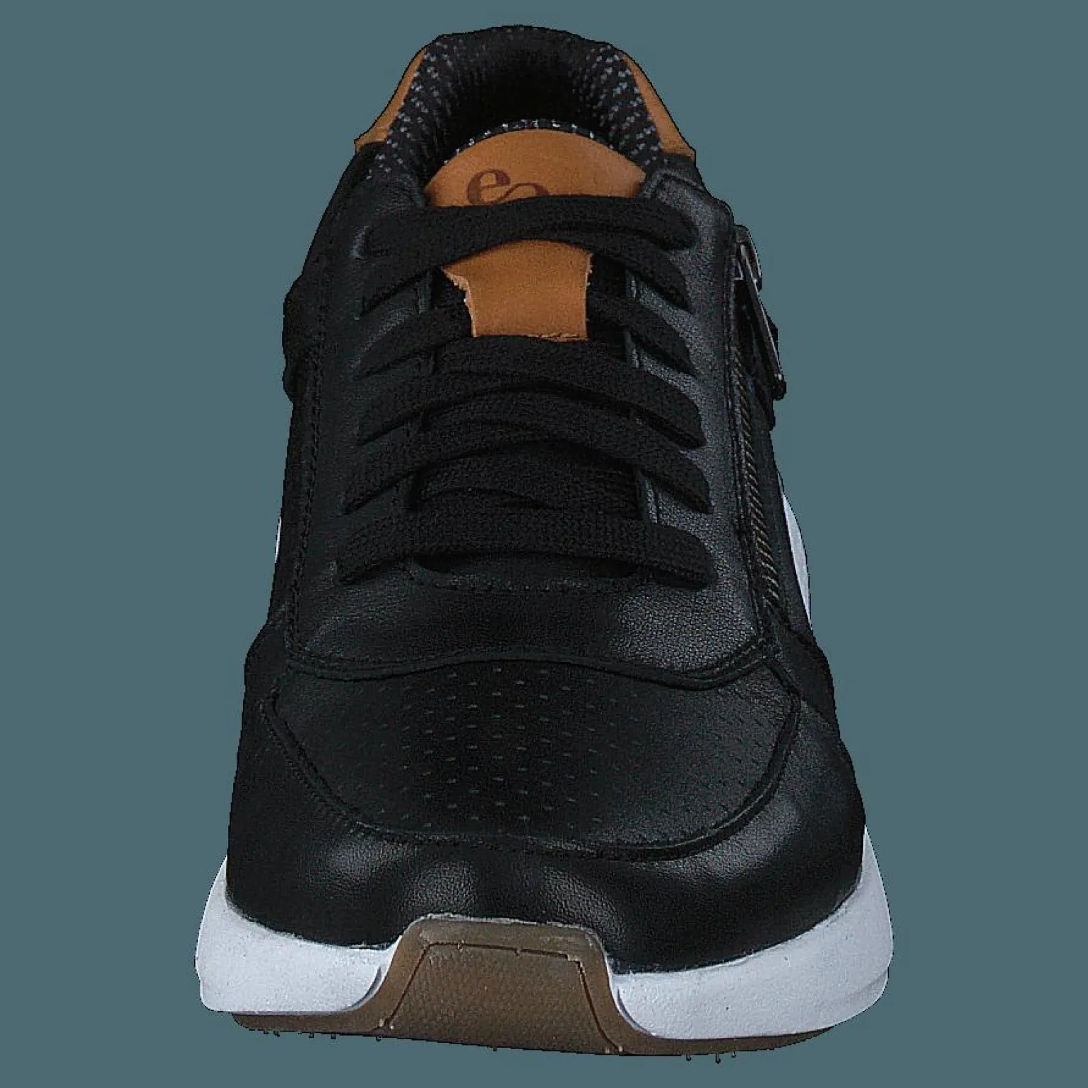 Dolphin Black