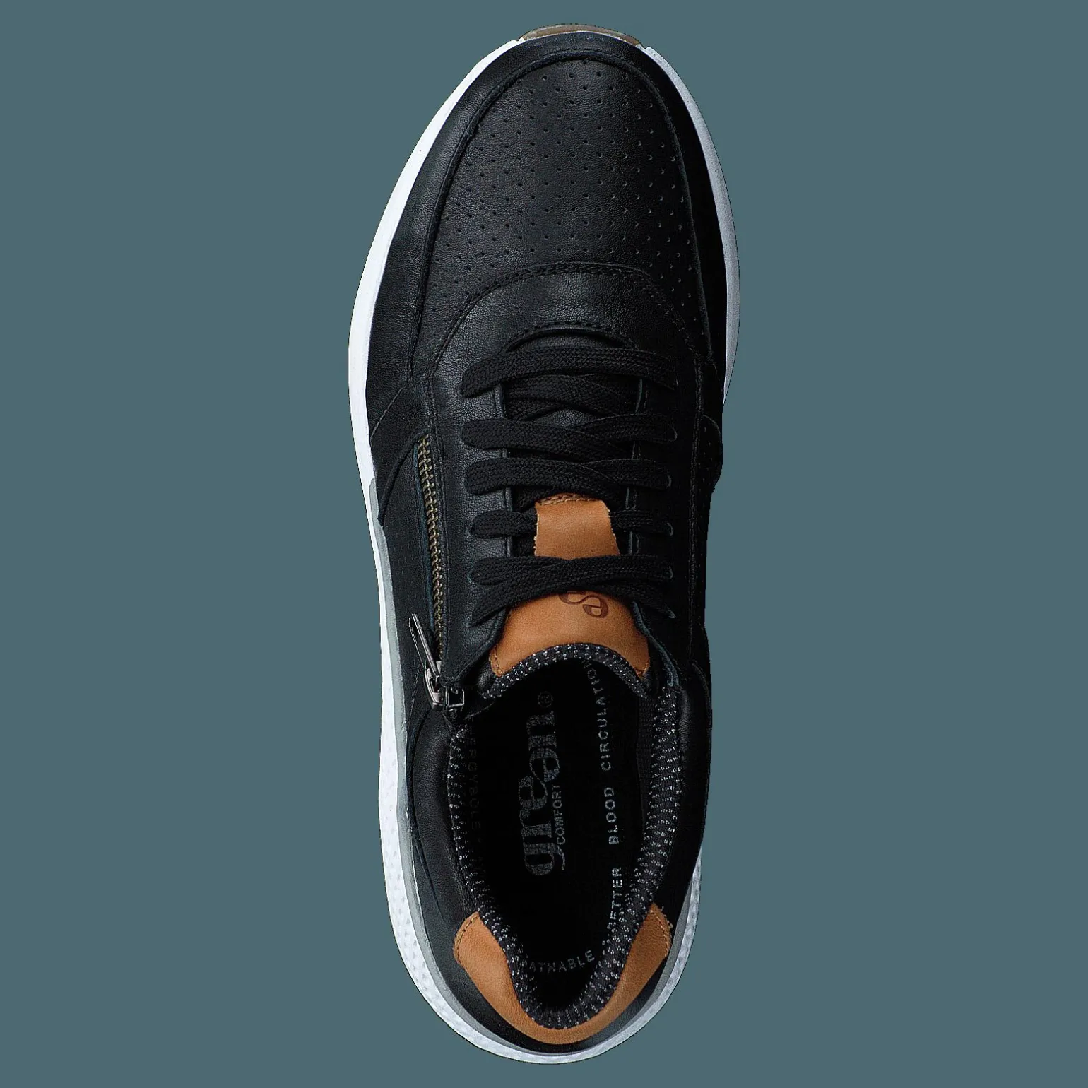 Dolphin Black