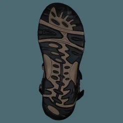 Esbo Leopard