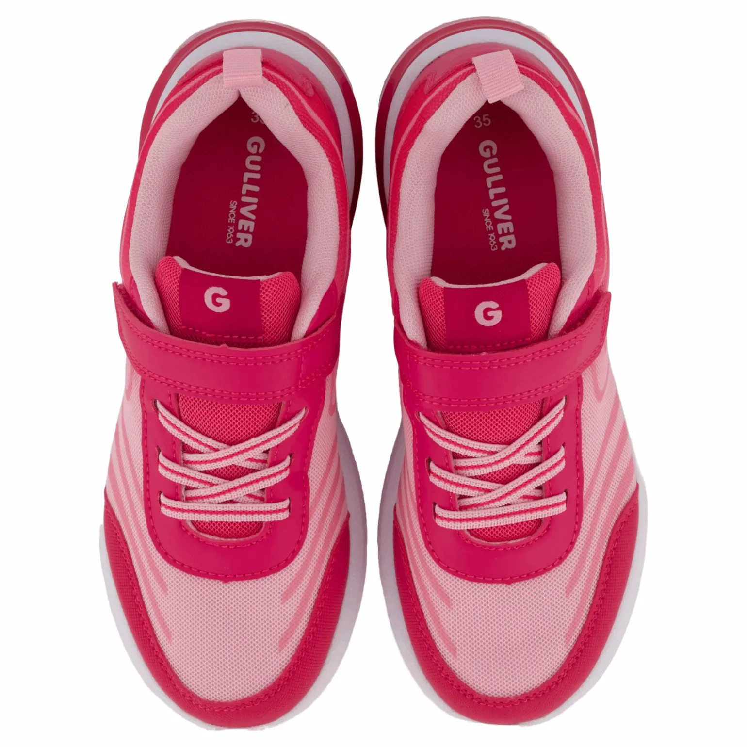 Fladen Fuchsia