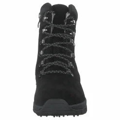 Goldy Studs Black 06