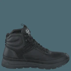 H110 Hgh Bsc M