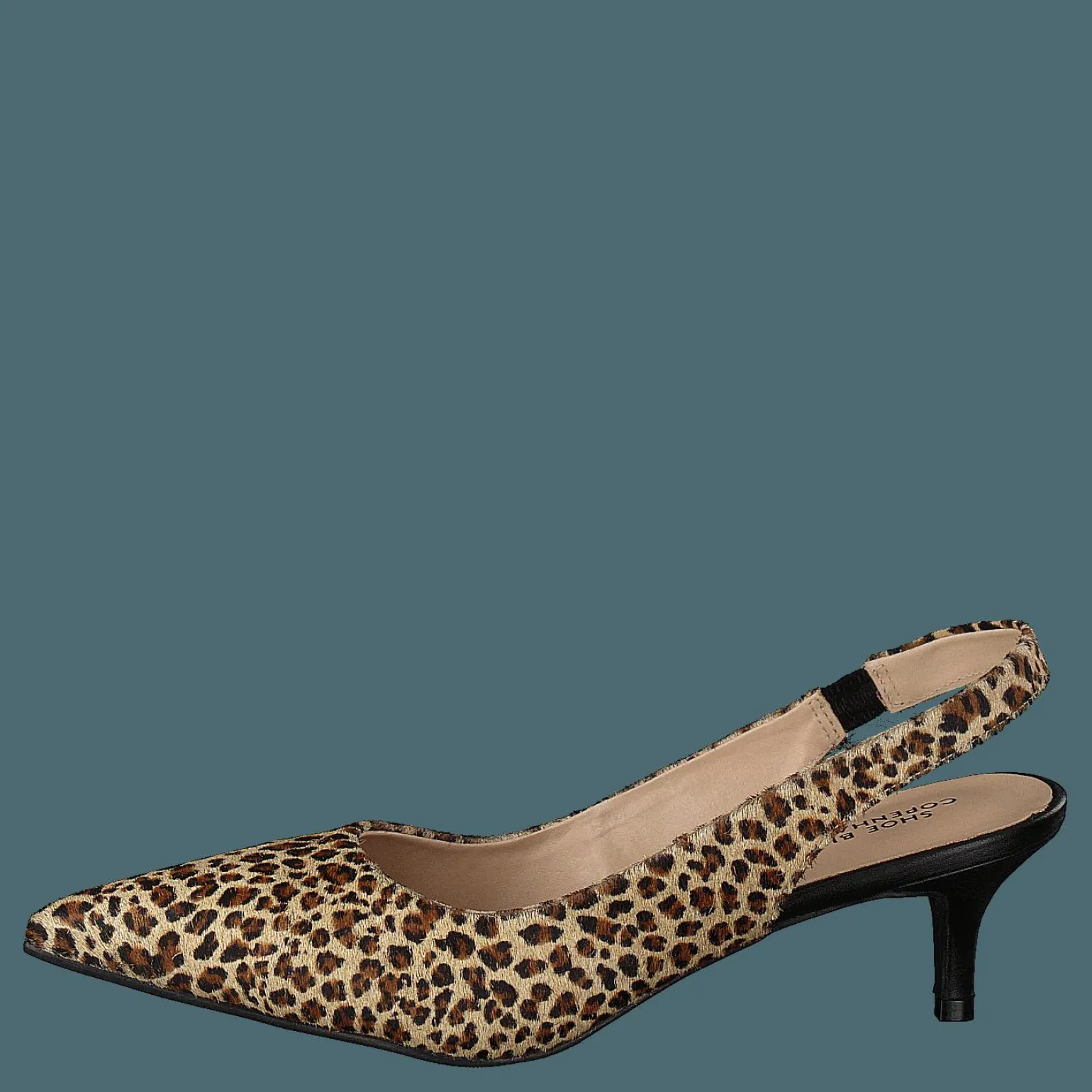 Hekla Leopardo