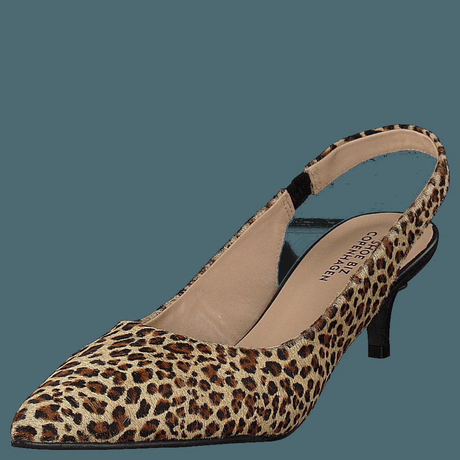 Hekla Leopardo