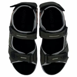 Hills Anthracite