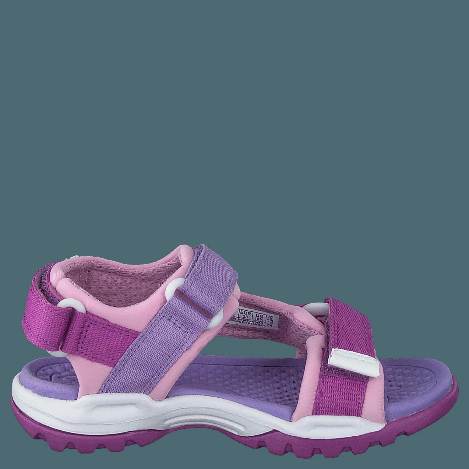 J Borealis G Purple/pink