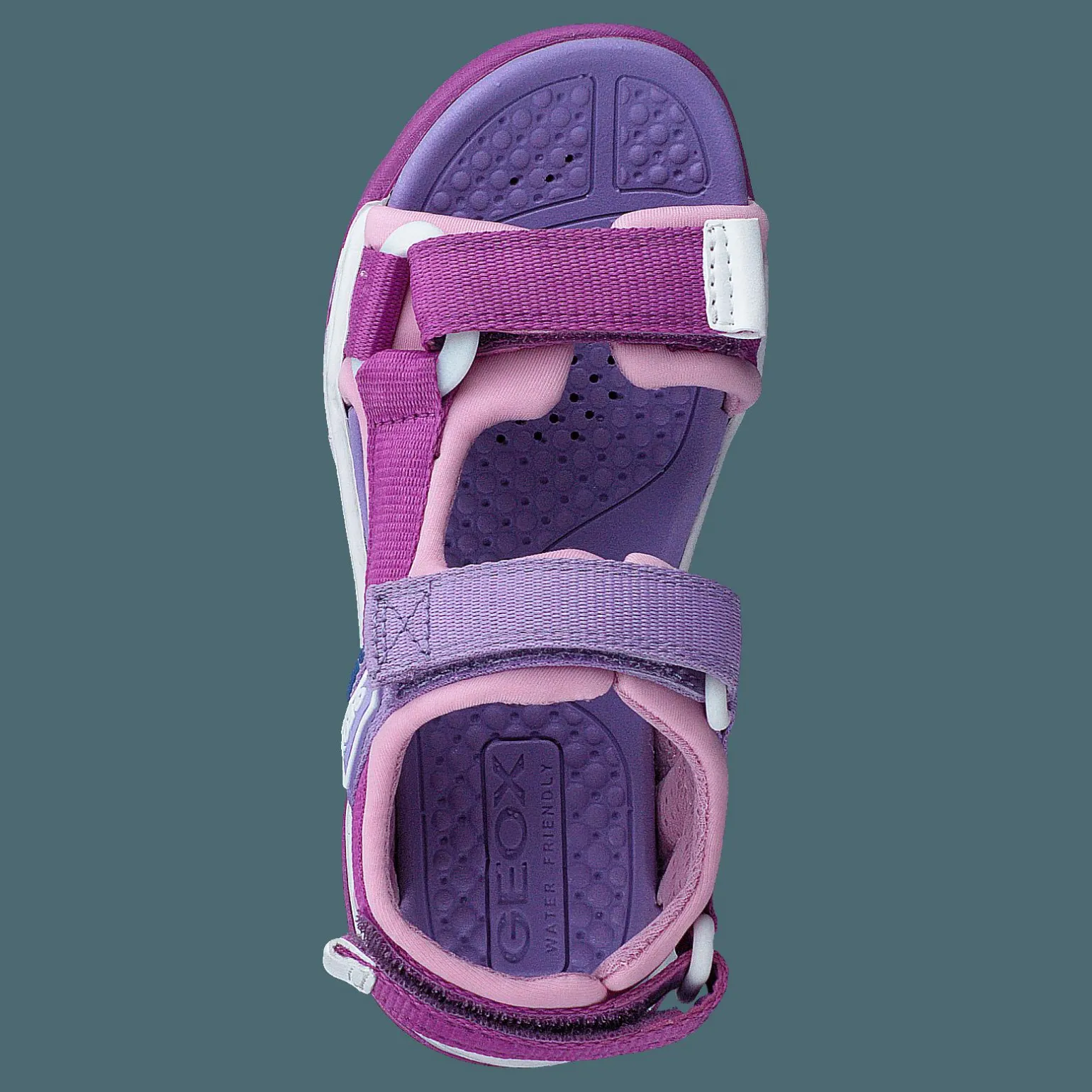 J Borealis G Purple/pink
