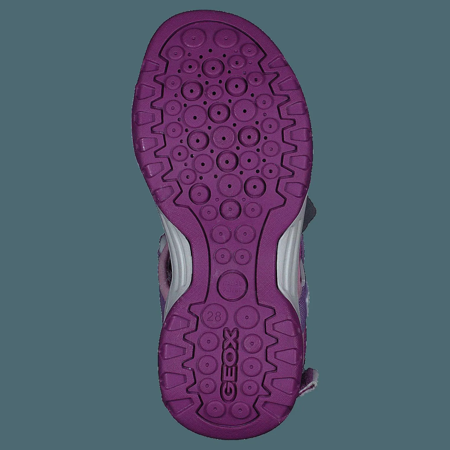 J Borealis G Purple/pink