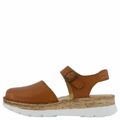 Maya Cognac