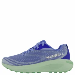 Morphlite Conrflower/pear