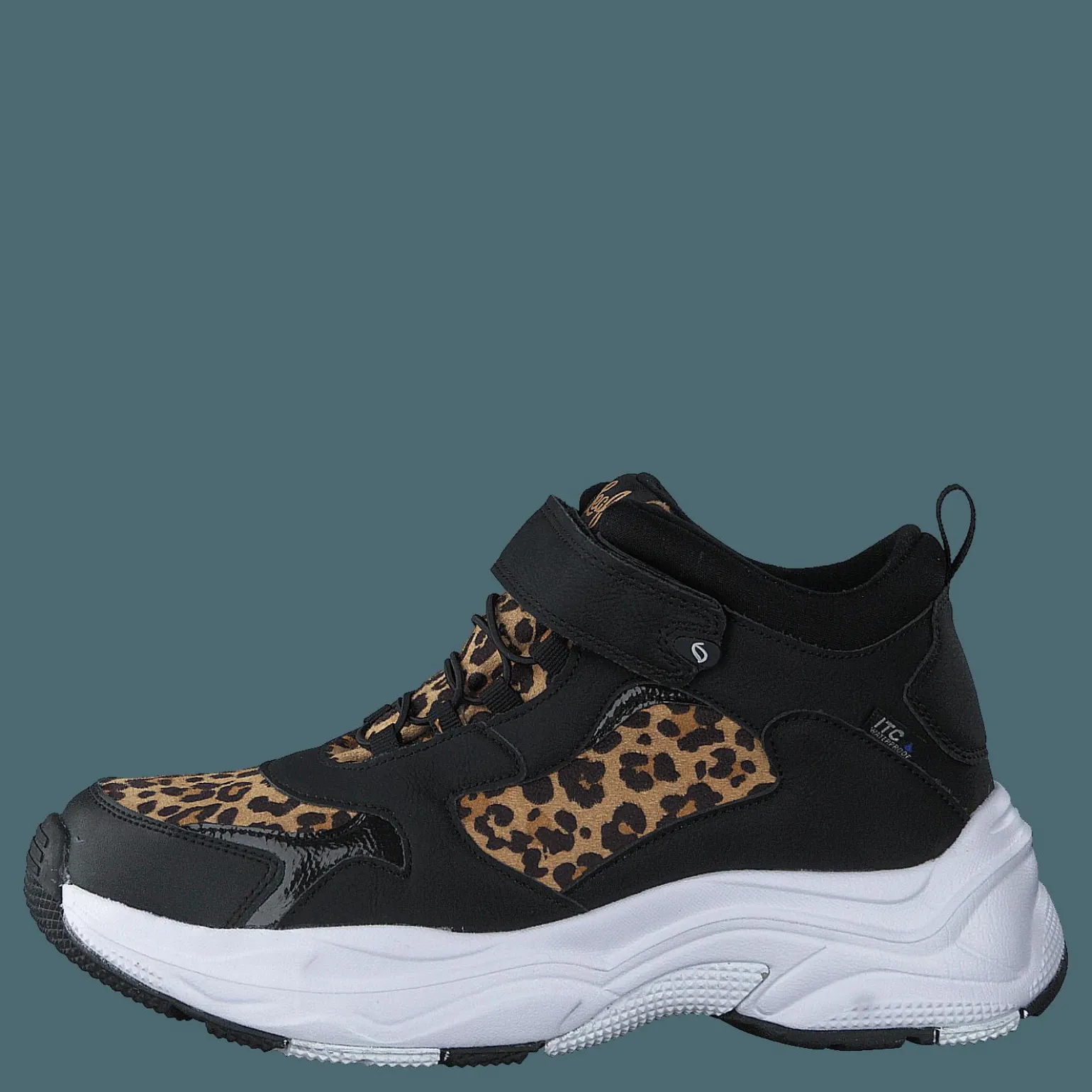 Narken Leopard