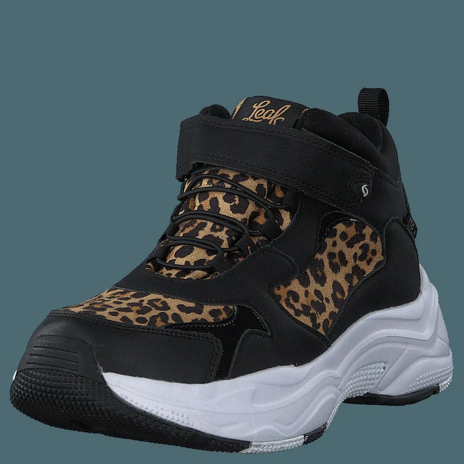 Narken Leopard