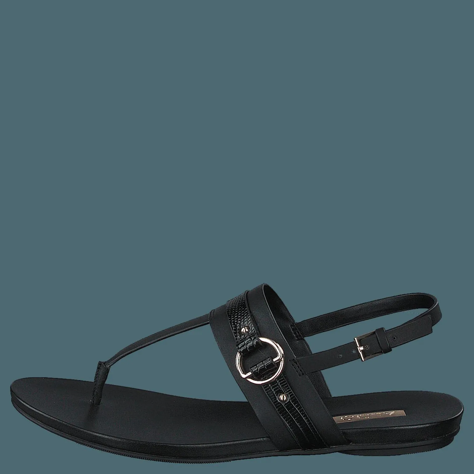 Pandra Black