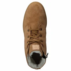 Picea +vios Brown