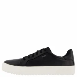 Rex Turin Gtx Black